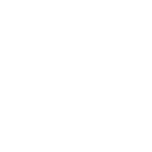 bezpieczenstwo danych osobowych ikonka