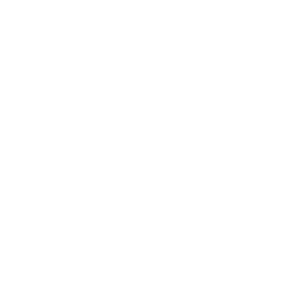 nosniki danych ikonka