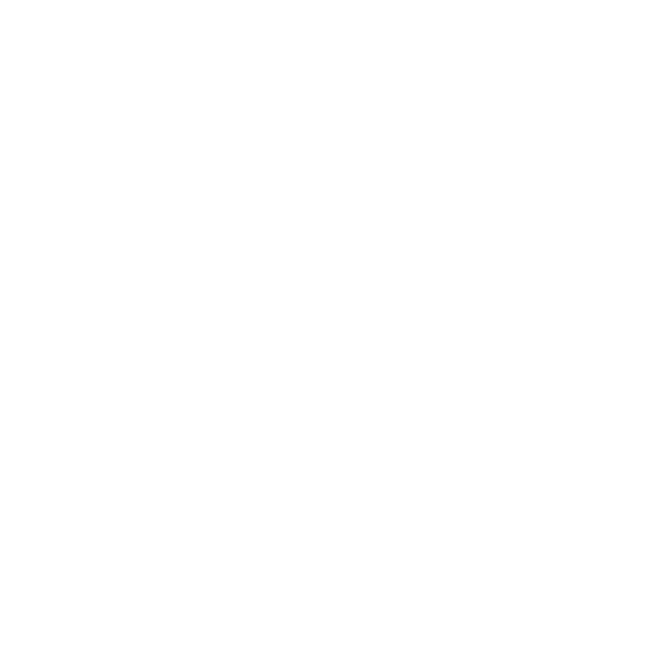 vpn ikonka